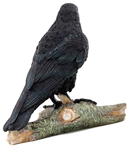 Top Collection Raven Perched On Branch Statue - Collectible Hand Painted Crow Sculpture With Key - 6.25-Inch Decorative Figurine #TOP2