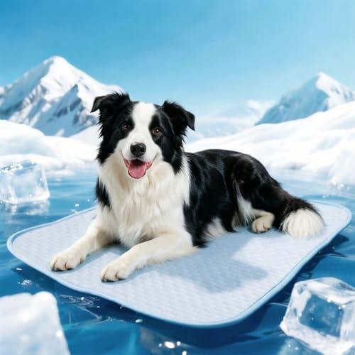 Nobleza Alfombra Refrescante para Perros, con Tecnología QMAX0.5, Cama Perro Verano, Antimordedura, Lavable y Portátil, Ideal para Viajes y Hogar, 70x60cm