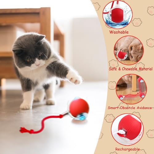 Brinquedos para gatos interativos para gatos em ambientes internos com tapete de movimento rápido ca