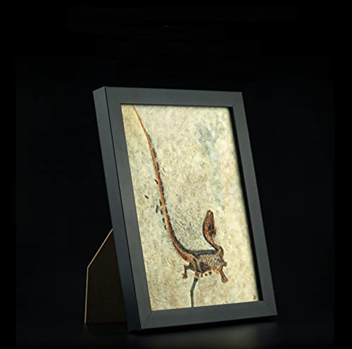 Vitae eBmTEX `FAO ~Nvg A[PIveNX VmTEveNX  i  ʐ^ Ǌ| tHgt[ fXNgbv IuWF A PVC v[g v~A IWi i u RN