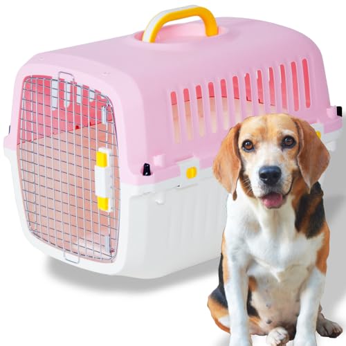 v`o ybgL[ CF60 sN JhA Lp ^p ^p p 10kg܂ LTCY s60 x 39.5 x 41.5cm L 