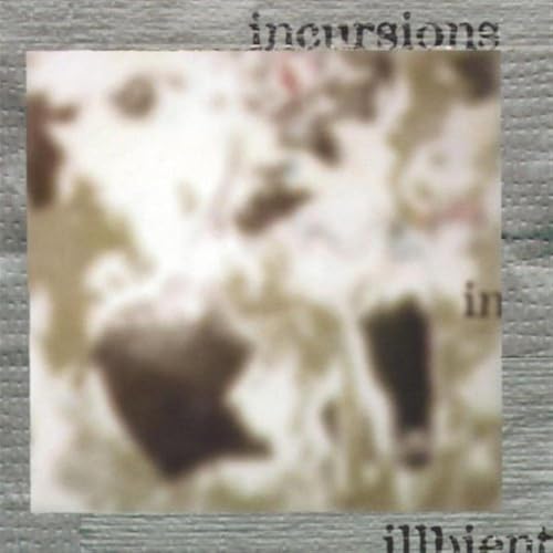 Pochette de Incursions in Illbient