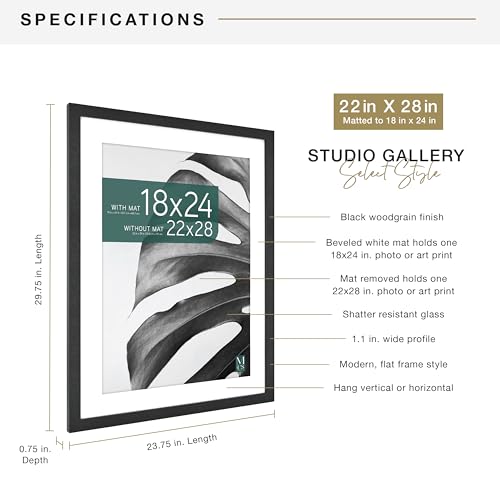 MCS Studio Gallery 22x28 Matted Poster Frame with 18x24 Picture Display, Black Woodgrain Vertical & Horizontal Wall Hanging Large Picture Frame for Photos, Posters & Art Prints (1-Pack)