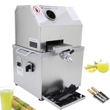 best juicer for ginger root