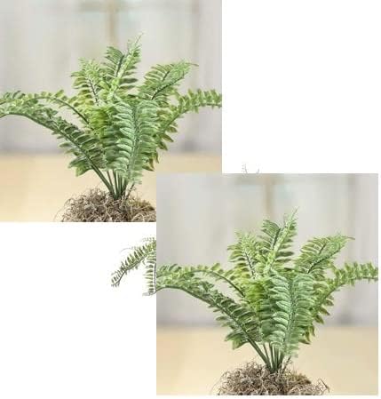 Factory Direct CraftPair of 2 Weatherproof Boston Fern Bushes| Use Indoors or Outdoors |Size: 15" H