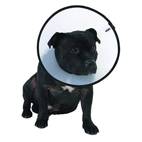 MDC Pet Products Dog Smart Collar (23-30cm) (May Vary)