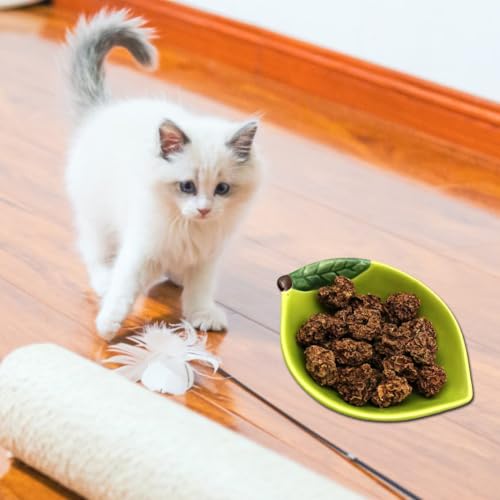 Cerioll Früchte als Katzenspielzeug für Katzen,20 Stück Matatabi Früchte Spielzeug für Katze,Katzens Früchtes Spielzeug,Zahnreinigung Dentales Essbares Kätzchenspielzeug Katzens Zahnreinigung