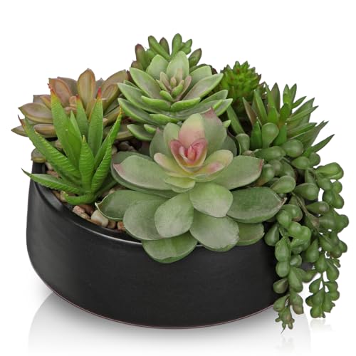 DILATATA Artificial Succulent Plants in Pot 5.5 Inch Fake Succulents Arrangement Potted Plant in Black Ceramic Planter Bowl for Home Office Desk Shelf Living Room Bedroom Bathroom Decor
