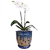 Large 6inch Ceramic Orchid pots with Holes Flower Pot with Saucer for Indoor Plants Home Decorative Round Planter BlueLight Brown