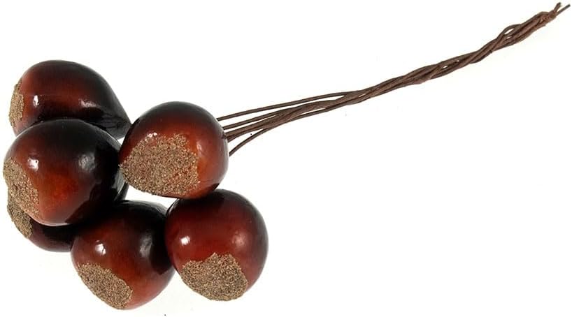 FloristryWarehouse Pack of 30 Brown Horse Chestnuts Conkers Fruits on Wires 2.5cm Diameter