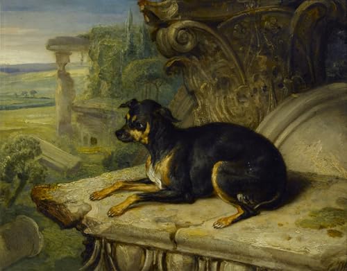 Cuadro de lienzo de perro Fannya de 60x90cm para dar vida a una pared vacía