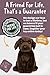 Living Nature Soft Toy - Stofftier Labrador, braun (20cm), Unbekannt