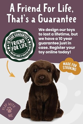 Living Nature Soft Toy - Stofftier Labrador, braun (20cm), Unbekannt