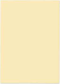 Blake Premium Business A4 297 x 210 mm 120 GSM Paper 95676 Vellum Laid - Pack of 50