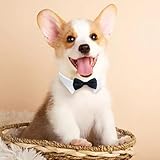 XNIVUIS 2 Packung Fliege für Hunde und Katzen Hunde-Krawatte, Smoking-Halsband, Formelle Halsband Halsketten, Verstellbares Hundehalsband, Bowknot für Hochzeit Party, M, (Schwarz)