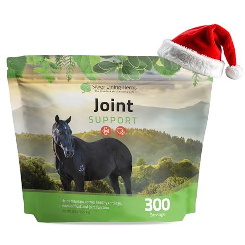 Silver Lining Herbs Horse Joint Support Supplement - Joint Complex, Mobility & Comfort Horse Supplements - Equinety Supplement with Natural Herbal Blend of Ginger, Burdock & More - 5 lb (300 Servings)