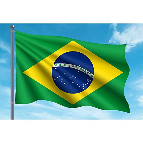 OEDIM Bandera de Brasil 150x85cm Reforzada y con Pespuntes Bandera con 2 Ojales Metálicos y Resistente al Agua, Azul Y Blanco, LEG06482001 Cover