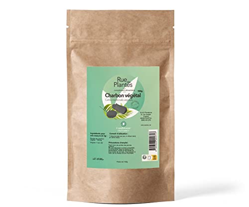 Charbon Végétal Actif Poudre 100 g – Détox Naturelle, Aide à Réduire les Ballonnements & Favorise une Digestion Légère et un Confort Intestinal...
