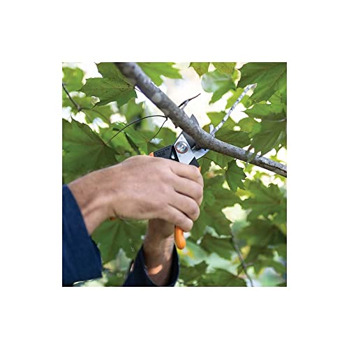 Fiskars Pro Pruner Shears, Garden Clippers, Gardening Scissors with Sharp Non-Stick Steel Rust Resistant Blade by Fiskars - Image 8