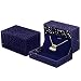 DesignSter Hollow Royal Blue Velvet Jewelry Long Necklace Box – Chain Pendant Display Organizer Gift Box