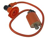 2EXTREME RACING 1-Pin Zündspule für YIYING YY50QT-2, YY50QT-21, YY50QT-22, YY50QT-26