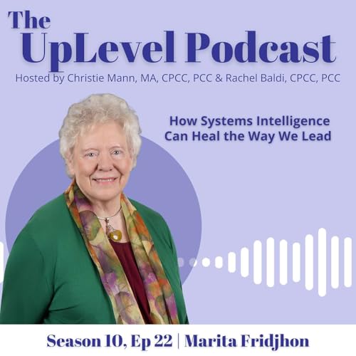 How Systems Intelligence Can Heal the Way We Lead with Marita Fridjhon cover art