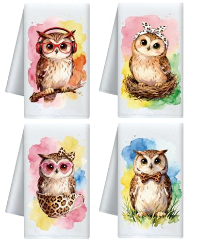 CUTHOLLOW 4Pcs Owls Kitchen Towels Cute Tea Towels