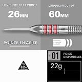 Target Darts Nathan Aspinall laiton pointe acier 22 g photo 3