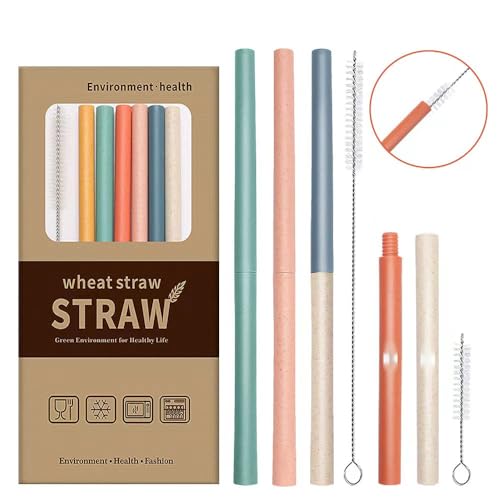 RUIQINGSANY Lot de 6 pailles réutilisables, différentes, avec brosse de nettoyage, pour anniversaire, mariage, Noël, décoration de fête, boissons au bar, lait, cocktail, 0,5 x 19 cm