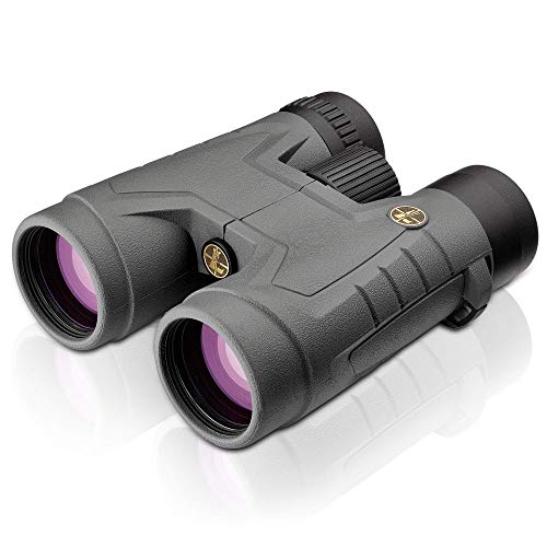 Leupold BX-2 Acadia 10x42mm Binocular (Renewed)
