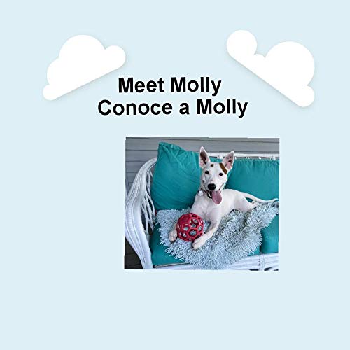 Meet Molly [Spanish] [Large Print] 1649941161 Book Cover