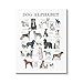 Stupell Industries Dog Alphabet Multiple Breeds Educational Animals Chart, Design by Dishique
