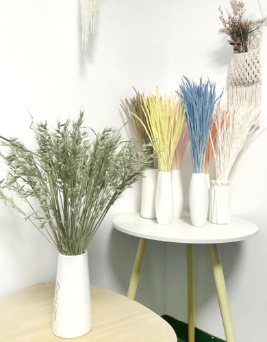 Bouquet de Espigas de Trigo Secas Naturales para Decoración miniatura 4