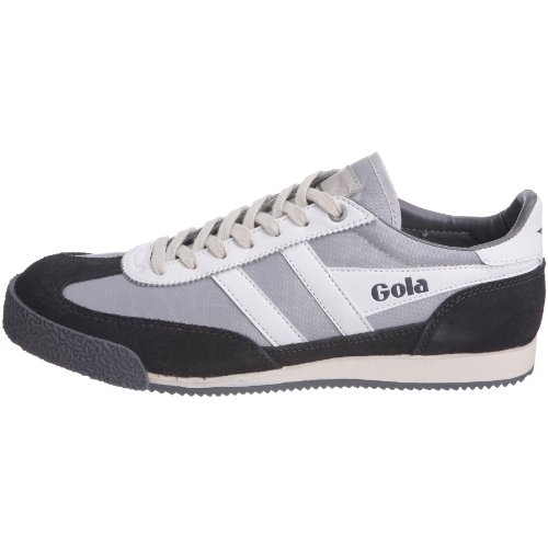 Image of Gola Harrier