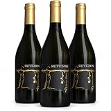 Guerra Albano Sauvignon 2024 Friuli Colli Orientali DOC | Vino Bianco Secco Friulano | Confezione 3 Bottiglie da 750