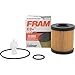 FRAM CH10158 Full-Flow Lube Cartridge Filter