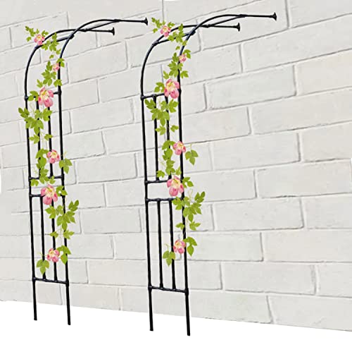 Treillis de rose en métal réglable pour guider vos fleurs