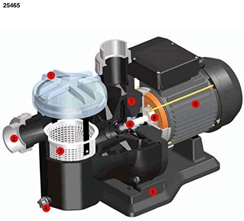 Astral Sena Pump Internal Diagram