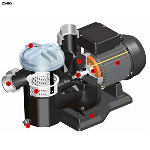 LordsWorld - Astralpool - 25465 Sena Pompe 1,00Hp Monophasé Auto-amorçage - Piscine Filtre à Eau Pompe - 25465-SENA
