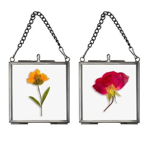 SUMTree 2 mini cornici quadrate in metallo e vetro, da appendere, in vetro geometrico, per piante, campione, clip in vetro per fiori pressati, foto 2,7 x 2,7 in/7 x 7 cm (solo cornice) (nero)