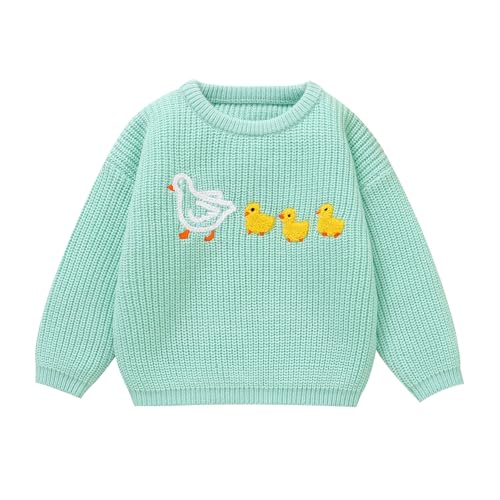 Toddler Girl/Boy Sweater Cute Ducks Hand Embroidered Sweater Fall Winter Outfit 1-5Y Green