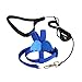 Chosertory Bird Harness and Leash, Pet Bird Traction Rope, Parrot Harness Strap, Training Rope for Cockatiel, M, Blue