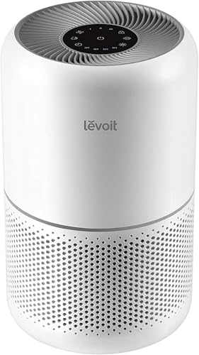 home best blueair air purifier