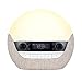 Price comparison product image Lumie Bodyclock Luxe 700FM - Wake-Up Light with FM Radio, Bluetooth Speakers & Low-Blue Light for Sleep