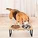 Xoeryoy Elevated Cat Bowls with 15° Tilted Stand Raised Cat Bowl 250ml Stainless Steel Feeding Station for Food and Water Indoor