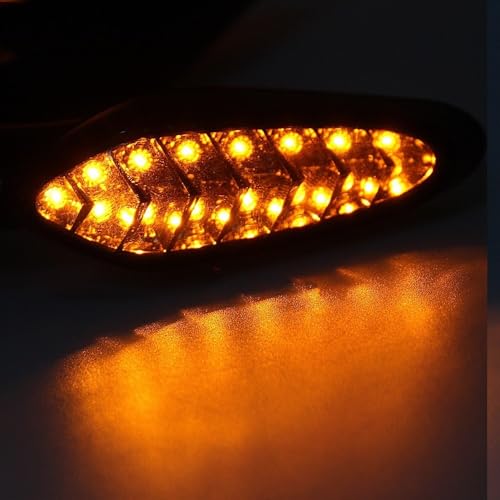 Clignotant LED moto pour Monster 696 arrière et dynamique - 2