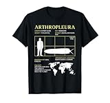 Artropleura Invertebrado Extinto
