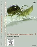  Faszination Insekten-Mikrokosmos, Räuber und Parasitoide, DVD