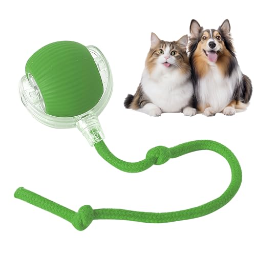 Eptchn Interactive Cat Toy Ball, Active Smart Rolling Balls for