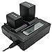 NP FV50, NPFV50, NP FV70, NPFV70, NP FV100, NPFV100 Battery Charger Renheng Dual LCD Display Fast Charge Digital Camcorder Battery Charger for Sony FDR-AXP55,FDR-AX40,HDR-CX450
